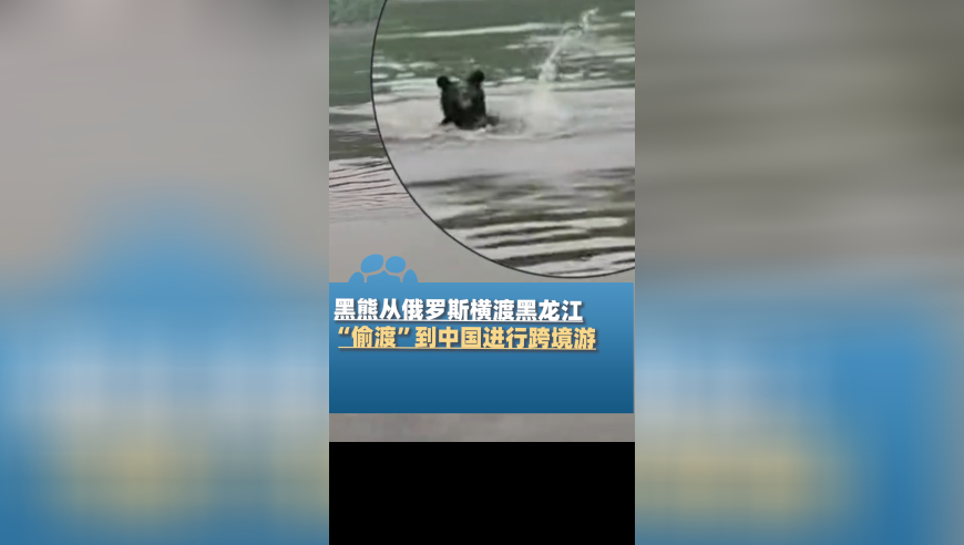 香港今天晚上开奖结果,MINNIE自曝曾患恐慌症,创造力策略实施推广_定制版V13.46