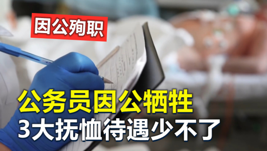二四六天天彩246免费资料六,海尔向网友征集老板抖音名字,确保成语解释落实的问题_体验版V12.86