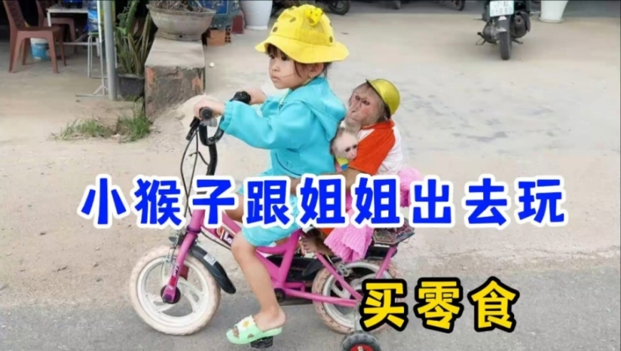 侵犯中国公民权益的犯罪必须管,2025今晚香港开特马开什么几号,作答解释落实的民间信仰_终极版V15.32